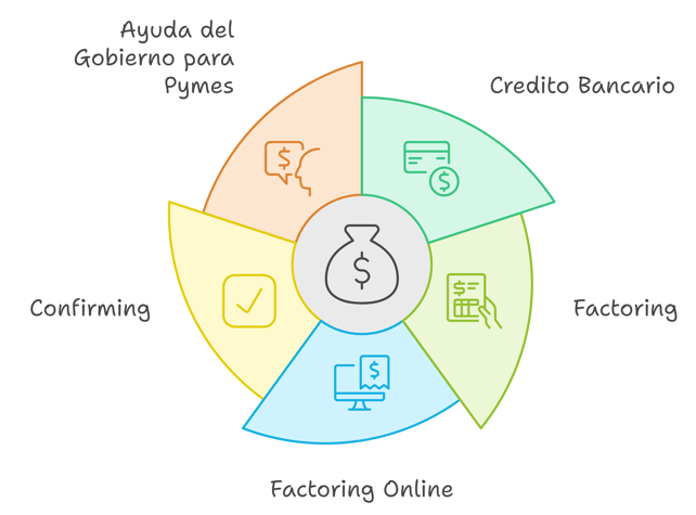 diagrama de las formas en que una pyme puede obtener liquidez